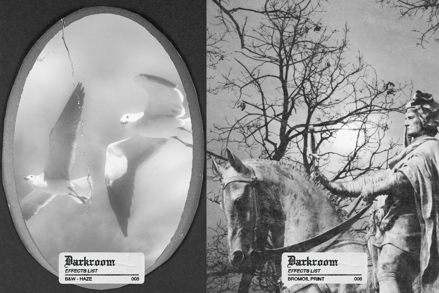 Darkroom - Analog Photo Toolkit