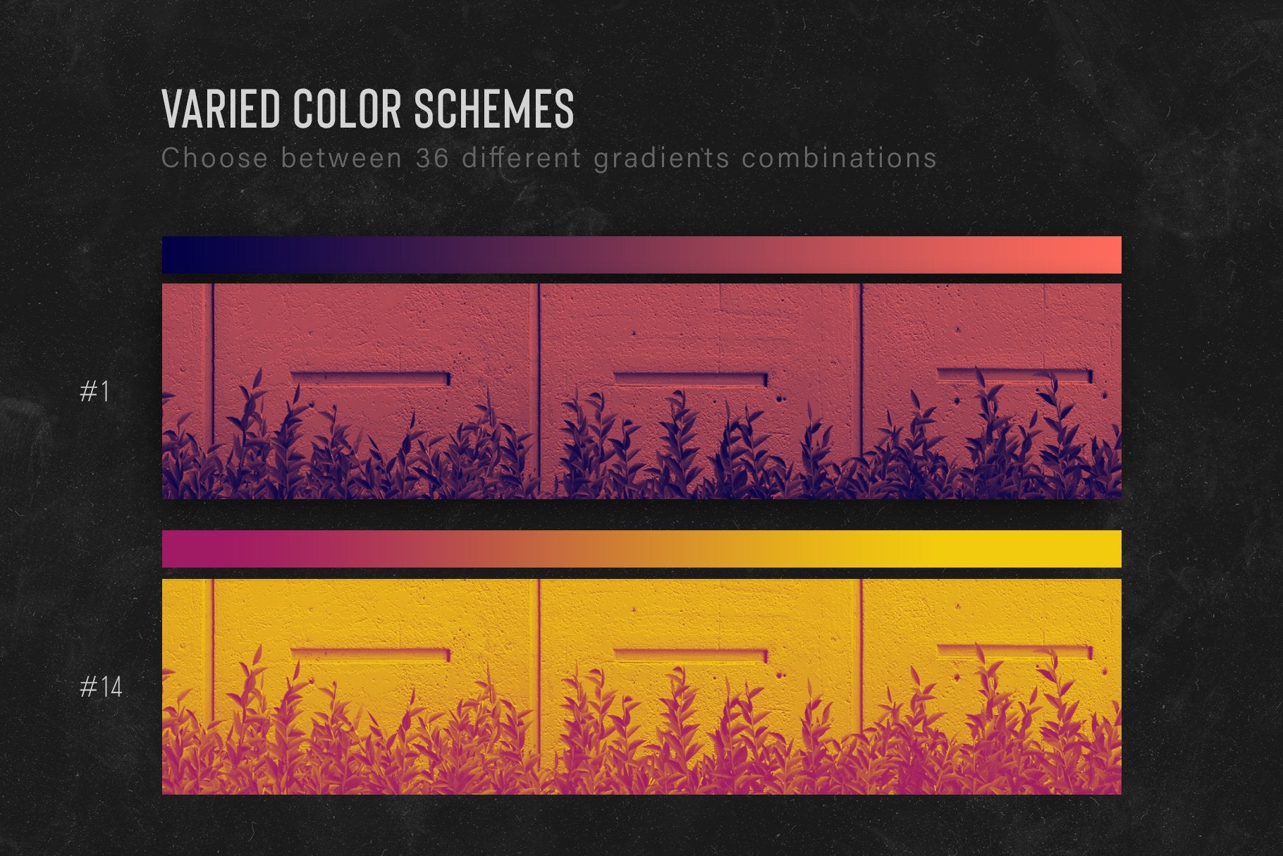 Duotone Photoshop Actions