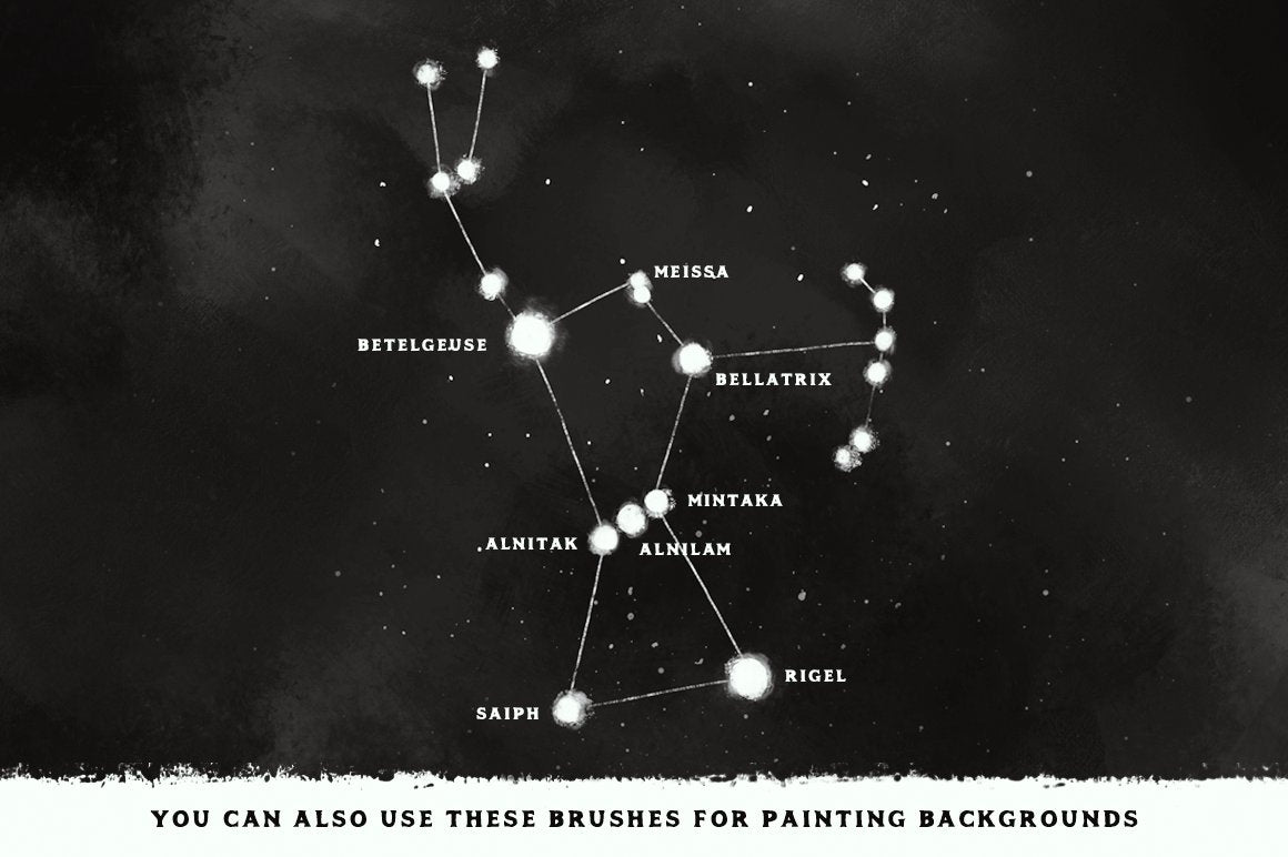 Paint Procreate Brushes
