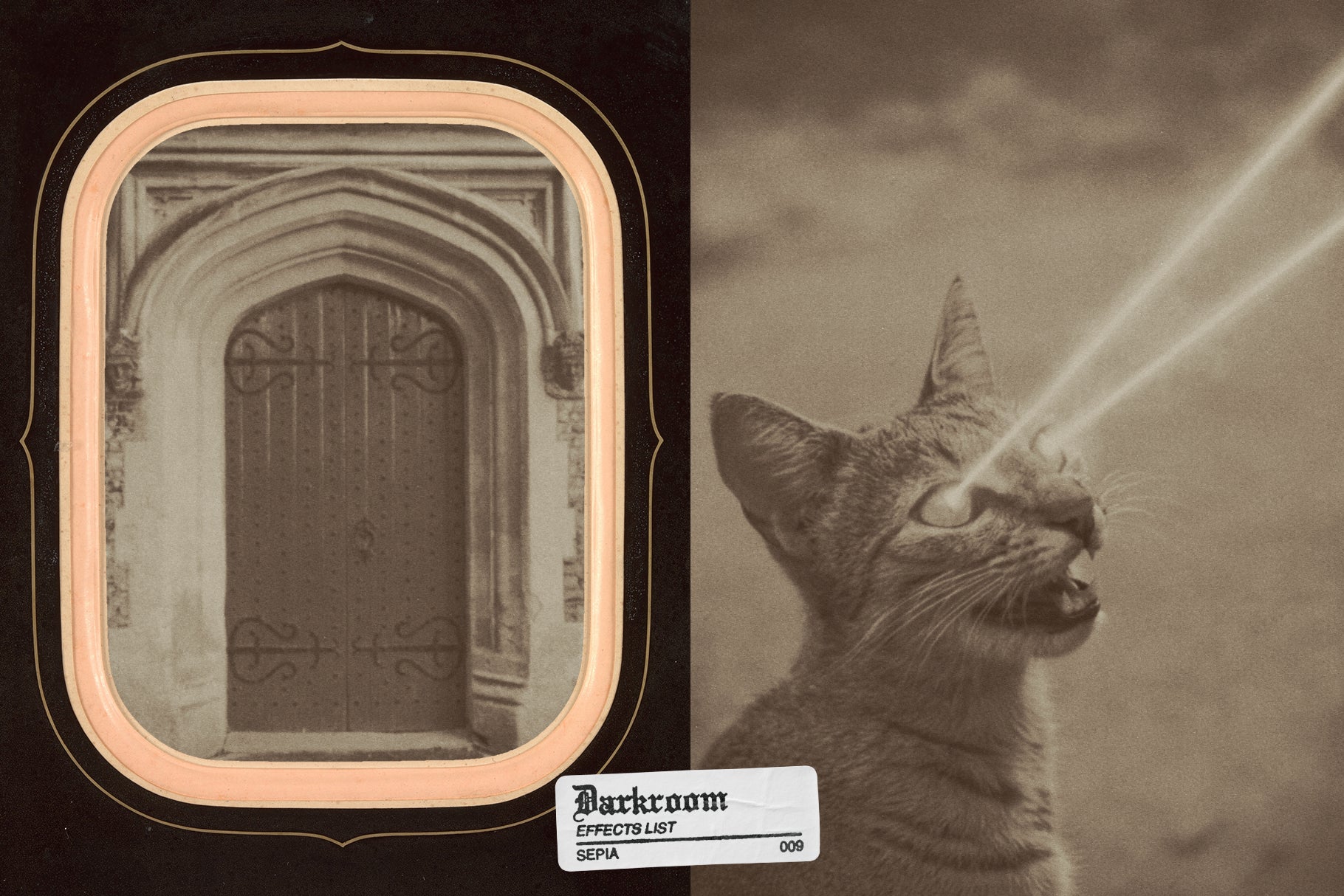 Darkroom - Analog Photo Toolkit